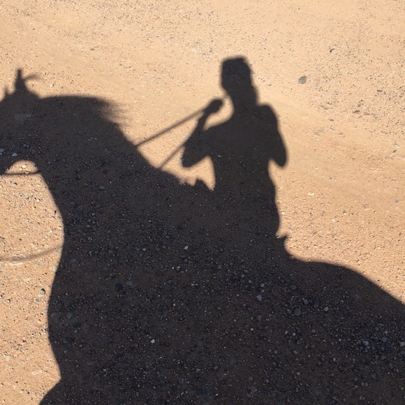 Horses Other - Riding forever!